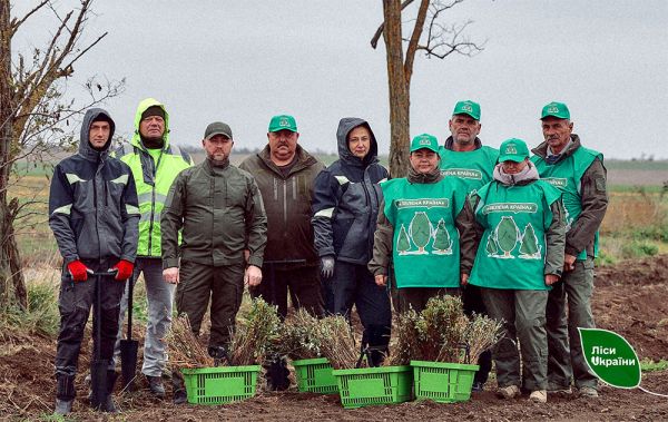 Новые леса на Николаевщине: вокруг Анатольевки высадили 2400 деревьев