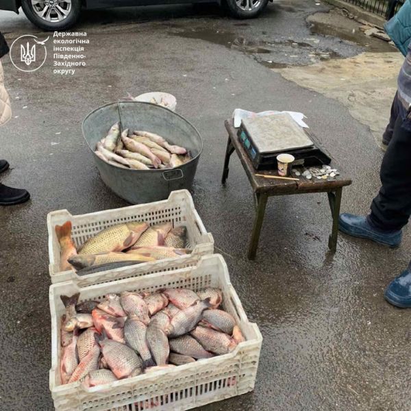 В Николаевской области задержали мужчину с полцентнером рыбы