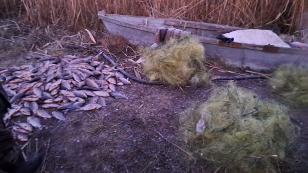 В Николаевской области на Южном Буге браконьер наловил карасей на полмиллиона гривен