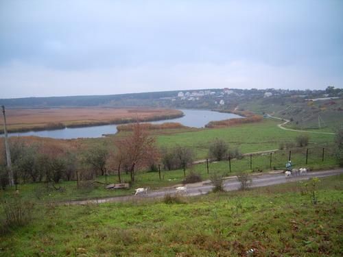 Разоблачена афера с землей под Николаевом