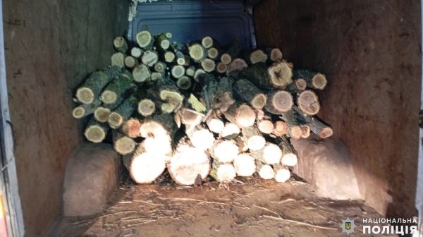 В Николаевской области задержали банду «черных лесорубов»