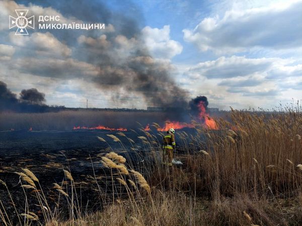 В Николаеве потушили масштабный пожар камышей, дым от которого видело полгорода