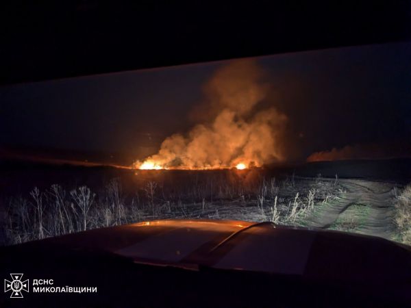 Ночью в Николаевской области произошли поджоги