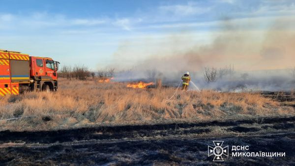 Горели двухэтажная дача под Николаевом и сухости и камыша на 11 гектарах
