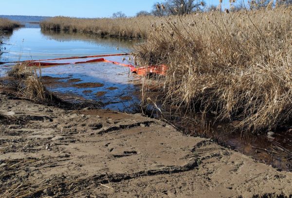 В день по чайной ложке: ликвидация экологической катастрофы на Южном Буге продолжается уже три месяца