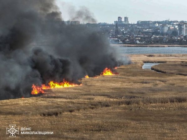 Сегодня днем в Николаеве выгорело 8 гектаров камышей: густой дым был виден издалека