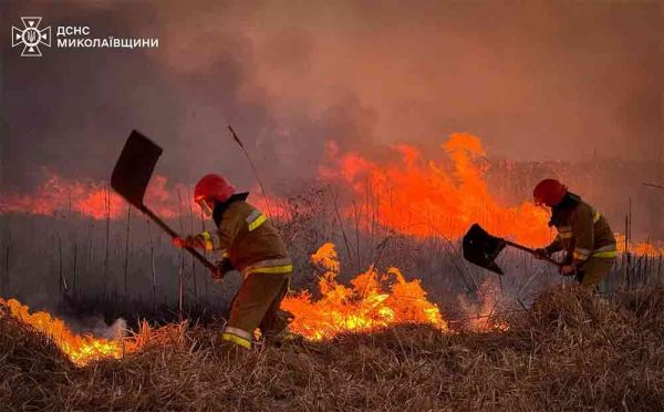 Убытки от масштабного пожара камышей на Николаевщине превысили 66 миллионов гривен