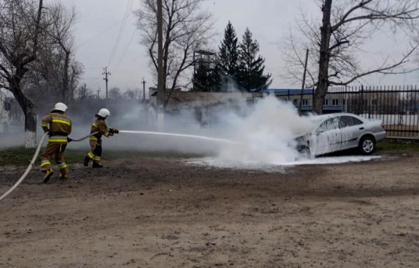 В Николаевской области сгорели легковушка и микроавтобус: причина выясняется