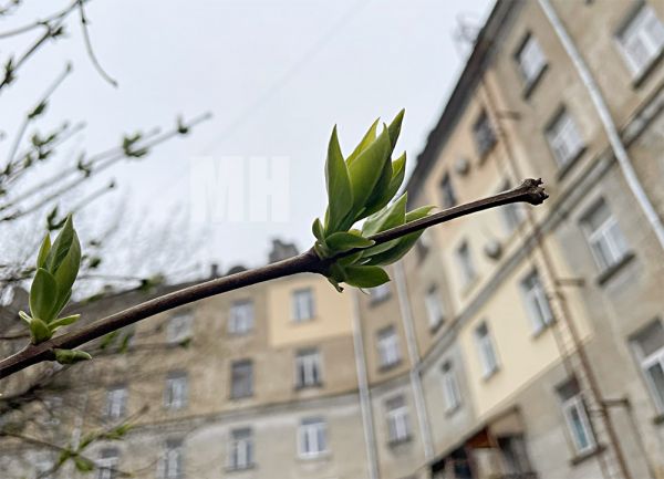 За две недели марта в Николаеве побиты два температурных рекорда