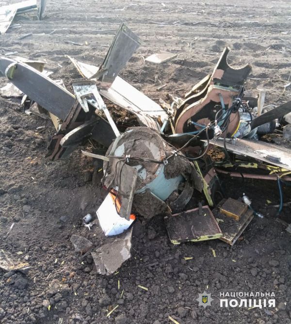 На Николаевщине в поле нашли сбитый «Шахед» с неразорвавшейся боевой частью (видео)