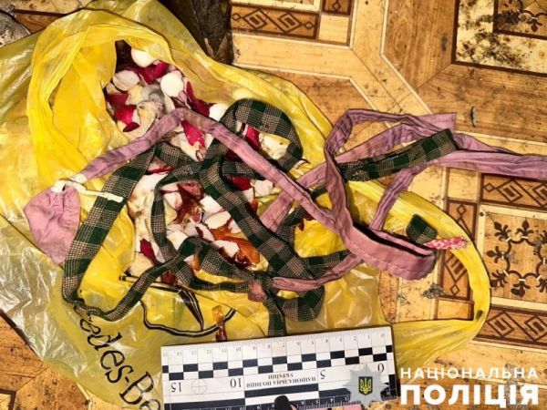 Жителя Николаевщины, который задушил свою мать, осудили по статье «умышленное убийство»