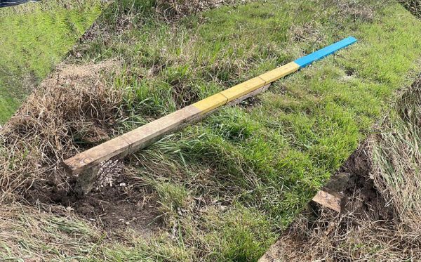 Вандалы сломали флаги 123-й бригады ТРО, установленные вдоль трассы Николаев-Одесса