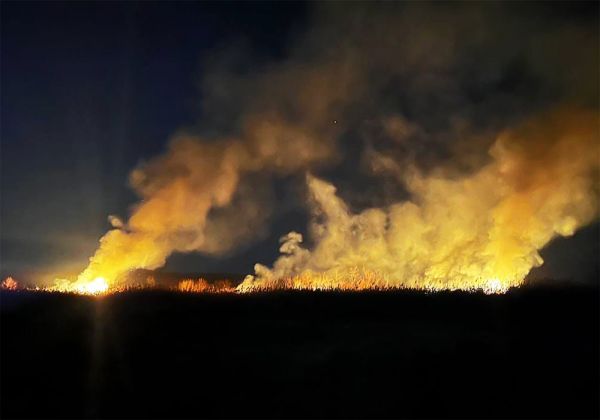 На Николаевщине из-за поджога камышей уничтожены краснокнижные растения