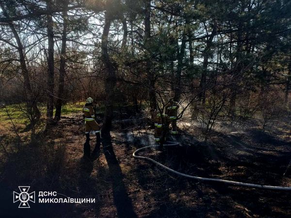 Под Вознесенском подожгли лес, Daewoo вспыхнул на трассе – пожары на Николаевщине
