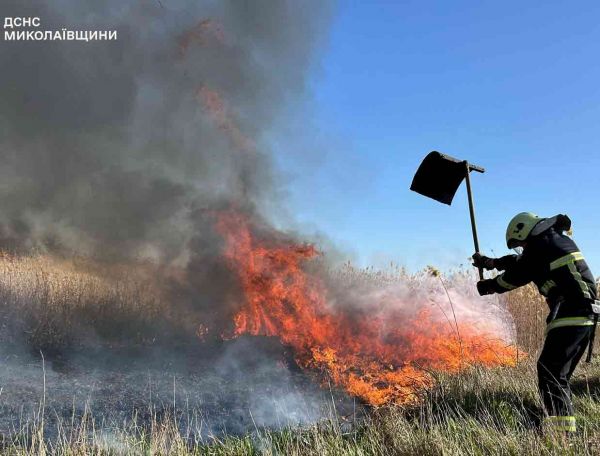 На Пасху в Николаевской области после поджогов горело на площади 6 гектаров