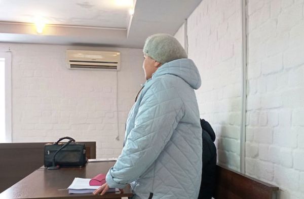 На Николаевщине подозреваемая в госизмене признала вину прямо на суде по избранию меры пресечения