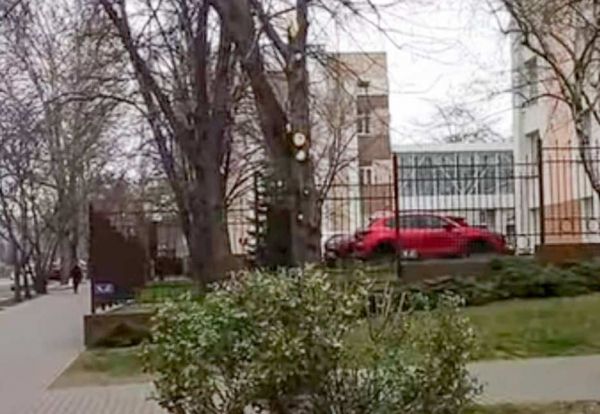 «Обрезка ради обрезки»: в Николаеве снова жалуются на действия «Николаевских парков»