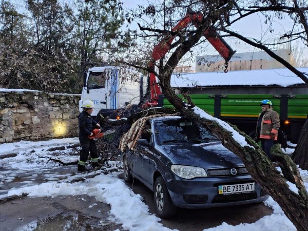 Непогода повалила в Николаеве более 40 деревьев: несколько упали на автомобили