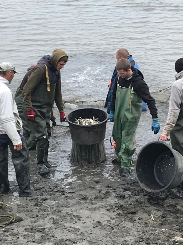 В водохранилище на Николаевщине выпустили триста тысяч мальков карпа, толстолобика, белого амура