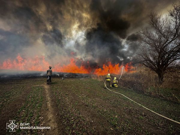 Пожар в Корабельном районе: 20 пожарных останавливали огонь перед жилыми домами (фото)