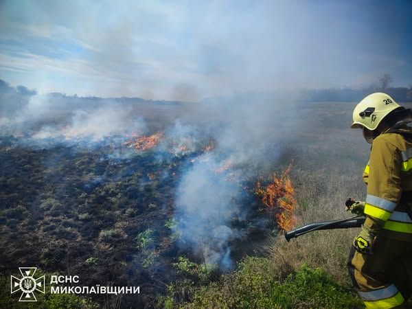 В Николаевской области вместе с сухостоем сожгли автомобиль "Дэу ланос"