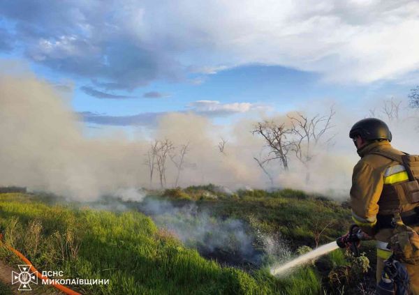 Хэтчбек, камыш, жилой дом – пожары в Николаевской области