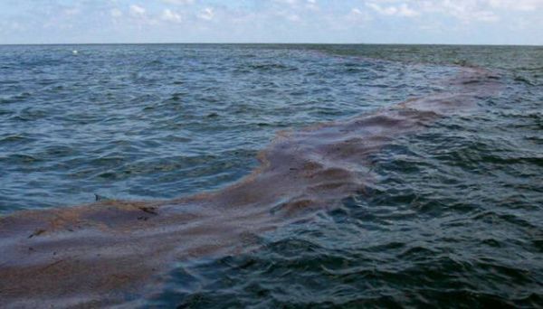 В Керчи все пляжи в мазуте – сегодня сотни людей чистят побережье