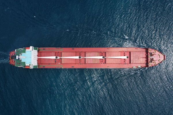 В Черном и Азовском море в течение суток курсировали суда с российским грузом