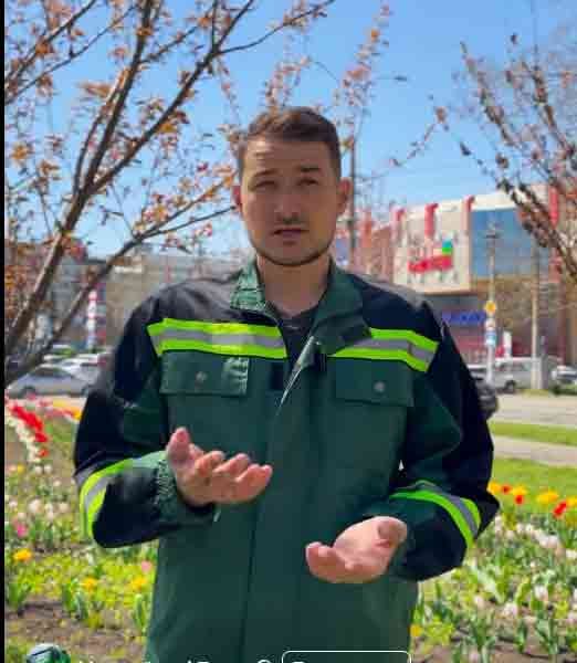 В Николаеве с городских клумб воруют тюльпаны