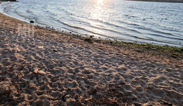 Вторые сутки в Николаеве обновляются температурные рекорды