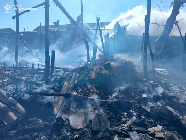 В Николаевской области в селах горели сенники, возле водоемов пылали камыши