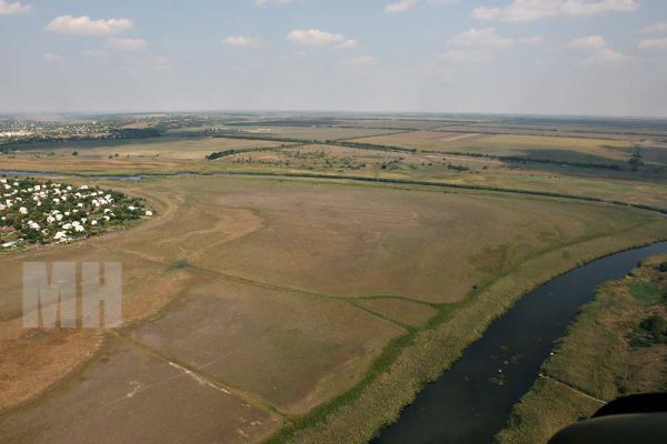 Участок в Николаевской области стал самым дорогим лотом недели на торгах «Земельного банка»