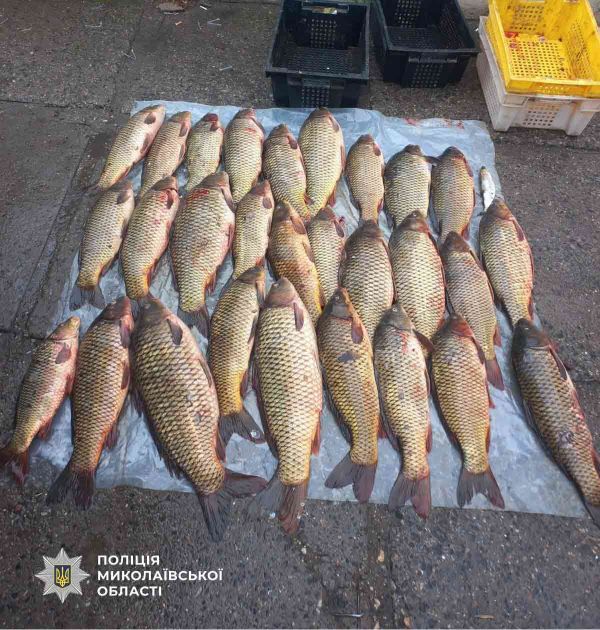 9 мая Николаевской области полицейские занимались живой рыбой