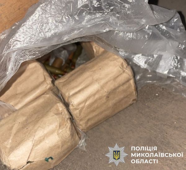 Николаевец в своем гараже держал боевые гранаты и патроны