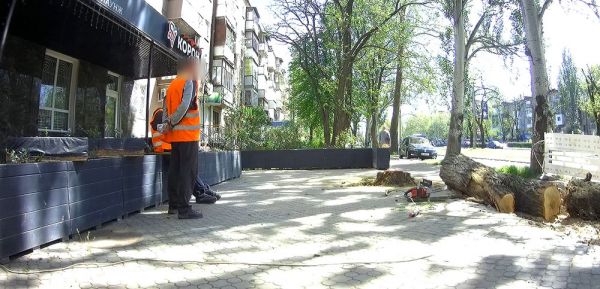 В Николаеве владельцы кафе самовольно спиливают деревья ради летних площадок — штрафы символические