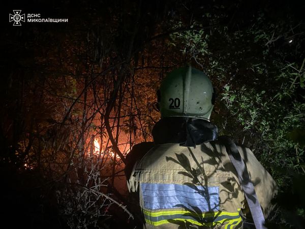 В Николаевской области горели два гектара сухостоев и два хозяйственных сооружения