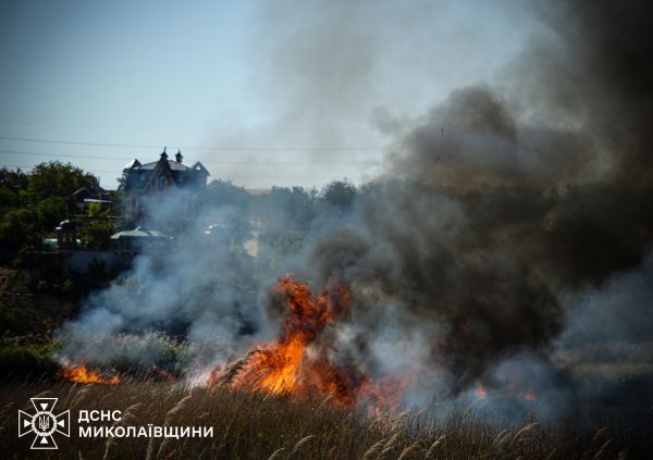 Поджог в Николаеве: вчера сгорел гектар камыша, экологический ущерб превысил 2 млн грн
