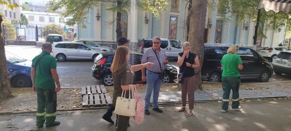 В центре Николаева уничтожают платаны – они увешаны, будто новогодние елки