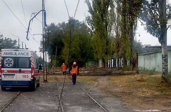 В Николаеве изменили движение трамваев из-за упавшего дерева