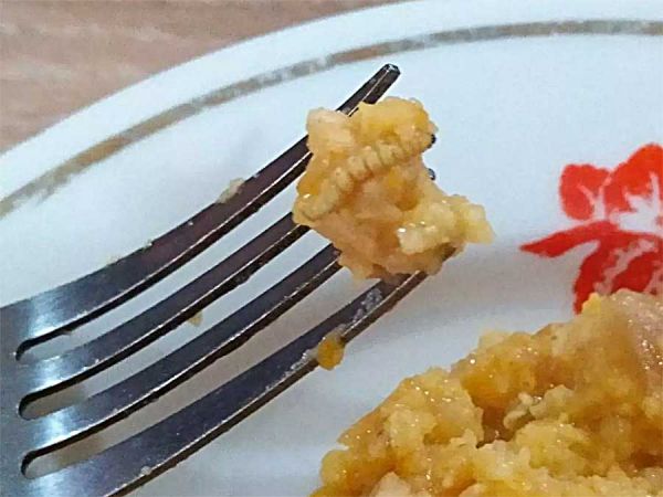 Ответственные лица так и не выяснили, откуда в тарелке николаевского школьника взялся опарыш