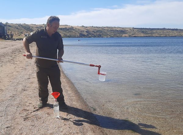 На Тилигульском лимане опять появились водоросли: что говорят экологи