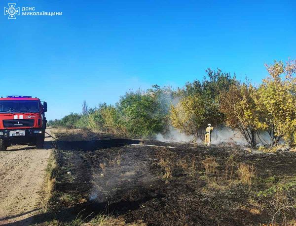 В Николаевской области огонь охватил площадь в 12 гектаров
