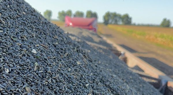 Суд закрыл дело депутата Очаковского горсовета: кража зерна на 14 миллионов осталась безнаказанной