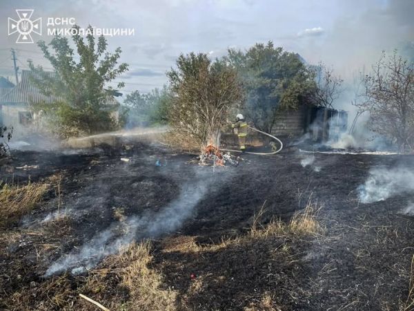 В выходные на Николаевщине выгорело площадь в 22 гектара камыша, сухостоя и растительных остатков