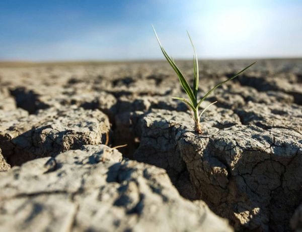 Засуха охватила Николаевщину: в некоторых районах не было дождей 47 дней