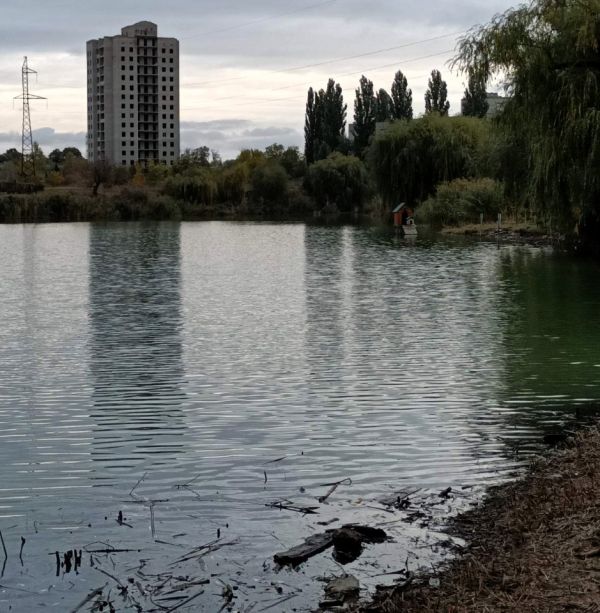 В водоеме на Николаевщине всплыла дохлая рыба