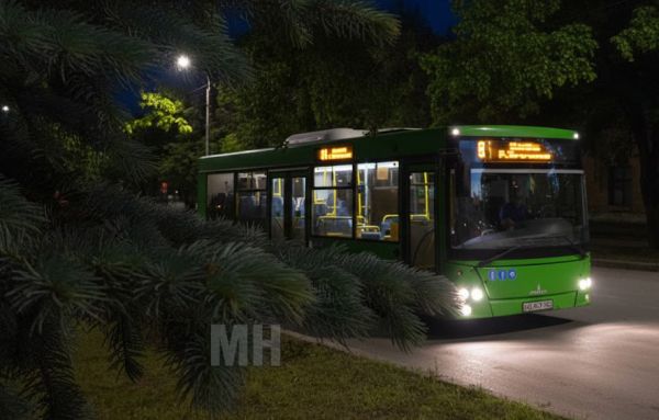 В Николаеве полиция нашла парней, устроивших дебош в автобусе и избивших водителя