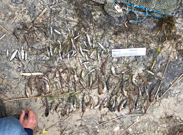 Скромный улов оценили в 190 тысяч: на Березанском лимане поймали браконьершу с парой килограммов рыбы