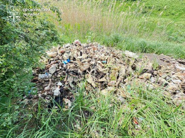 На Николаевщине предпринимательница выбросила отходы с бойни в траву за селом