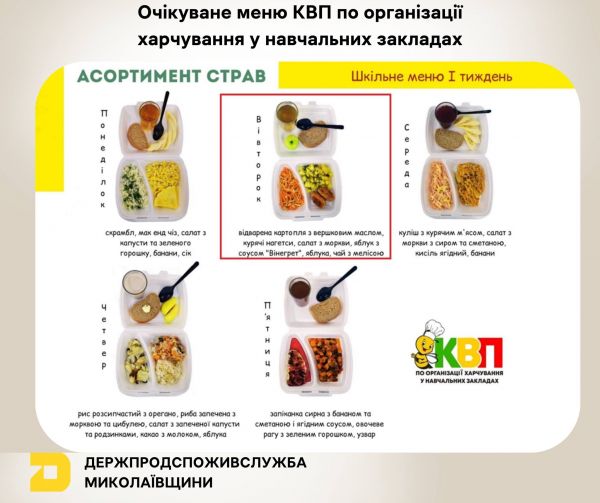 В пяти школах и гимназиях Николаева кормили овощным рагу с нарушением технологии приготовления